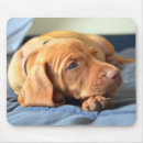 Search for wrinkle mousepads Puppy