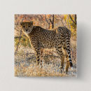 Search for cheetahs badges Wild