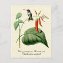 Search for white birds postcards Botanical