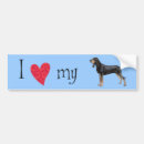 Search for coonhounds bumper stickers Black and tan coonhound