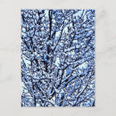Search for winter trees postcards Snow