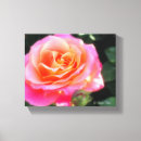 Search for macro canvas prints Flower