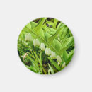 Search for ivory magnets Blossom