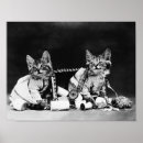 Search for vintage cat pictures posters Funny