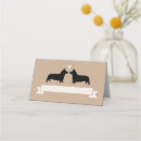 Search for corgi weddings Pembroke welsh corgi