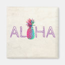 Search for pineapple magnets Colourful