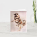 Search for tervuren cards Sheepdog