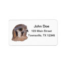 Search for hawk return address labels Falcon