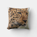 Search for green leopard Big cat