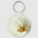 Search for pure key rings White