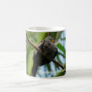 Search for croak mugs Nature