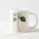 Search for trillium mugs Botanical