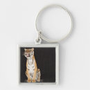 Search for platform key rings Strength