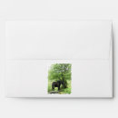 Search for mare cards invites Cute