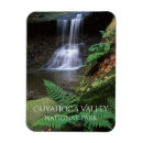 Search for blue springs magnets Souvenir