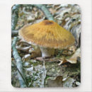 Search for mushroom mousepads Fungi