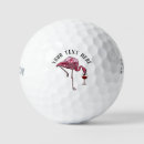 Search for flamingo golf equipment Modern