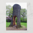 Search for ecologic postcards Outdoors