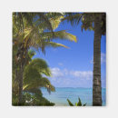 Search for cooking magnets Tropical