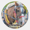 Search for clydesdale horse stickers Clydesdales