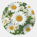 Search for white floral pattern stickers Daisy