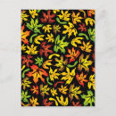 Search for colored leaf postcards Autumn