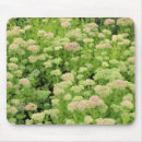 Search for multi region electronics Floral