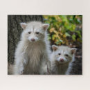 Search for raccoon puzzles Racoon