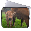 Search for herds electronics Cute