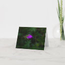 Search for occassion cards Purple