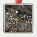 Search for africa christmas tree decorations Black