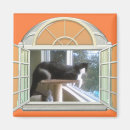 Search for my world magnets Cat