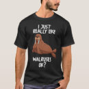 Search for walruses Animal