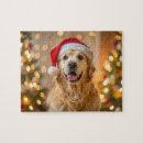 Search for yellow lab puzzles Labrador retriever