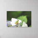 Search for tree frog canvas prints Horizontal