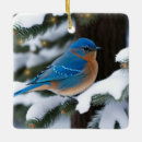 Search for bluebird christmas tree decorations Wildlife