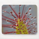 Search for macro mousepads Scary