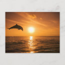 Search for bottlenosed dolphin postcards Animals