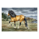 Search for buckskin horse posters Equine