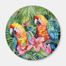 Search for tropical flowers magnets Foliage