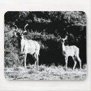 Search for horned mousepads Antelope