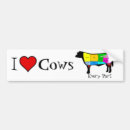Search for meat bumper stickers Cow