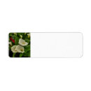 Search for white calla lily return address labels Flower