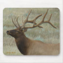 Search for big head electronics Bull elk