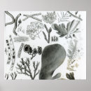 Search for zoology posters Marine