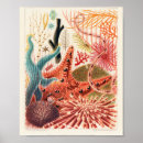 Search for marine life fish posters Coral