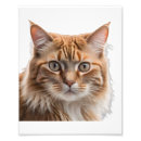 Search for orange tabby art Portrait