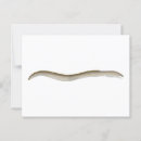 Search for eel postcards Fish