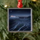 Search for full moon christmas tree decorations Landscape