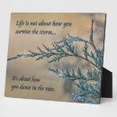 Search for shine photography Inspirational